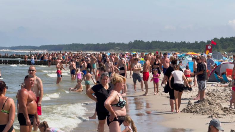 Sinice psują wakacje