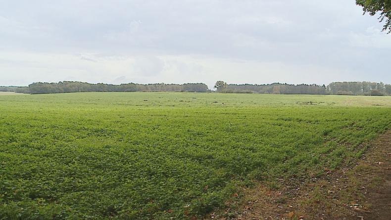 Uwaga na wilki w powiecie