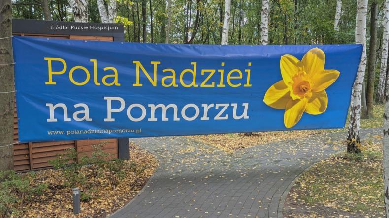 Pola Nadziei wyrosną po raz kolejny