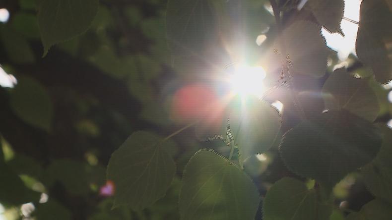 Najpierw burze i grad, a teraz żar z nieba