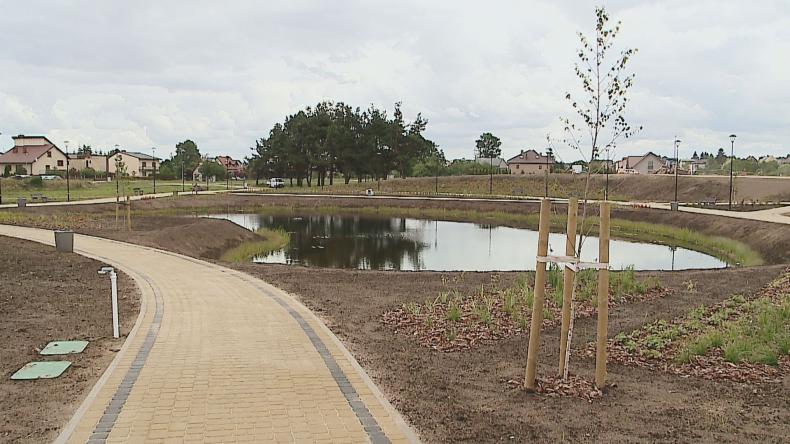 Luzino się zazielenia