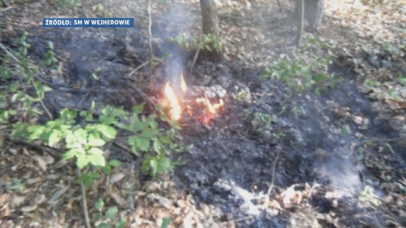 Ognisko w środku suchej jak papier Kalwarii