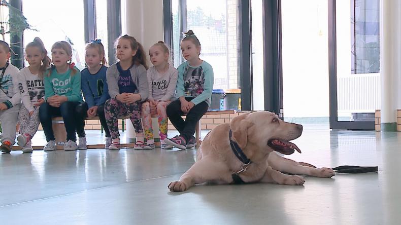 Hans – pies policyjny uczy bezpieczeństwa