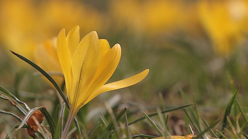 Najpiękniejszą porę roku czas zacząć