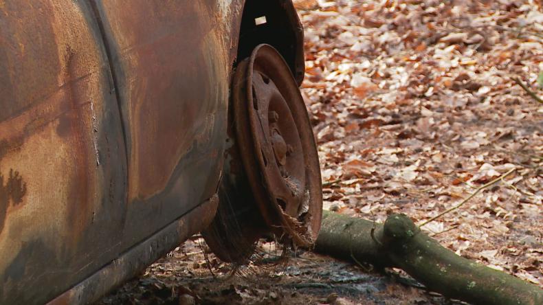 Wraki aut w lasach. Służby namierzają sprawców