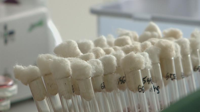 Salmonella nadal problemem – warto się badać
