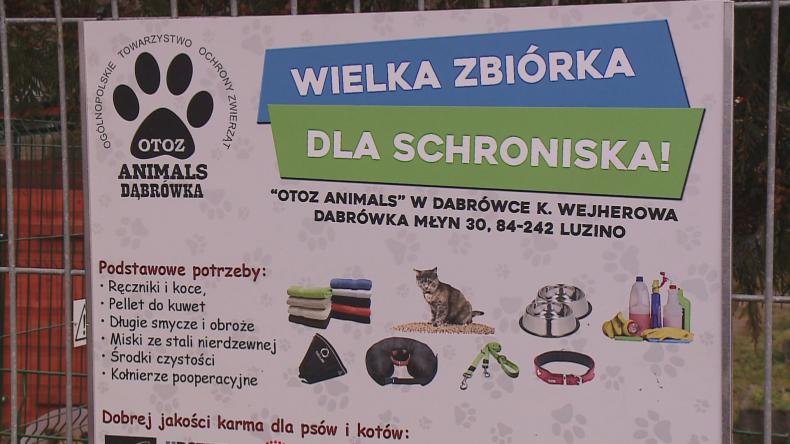 Zbiórka dla schroniska w Dąbrówce zakończona sukcesem