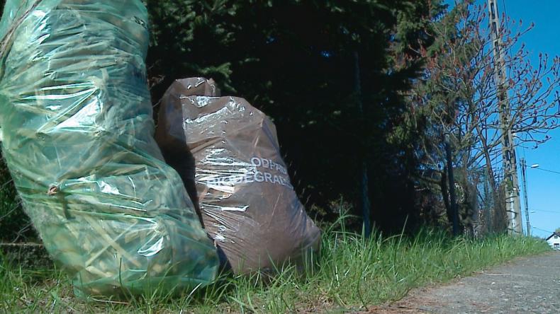 Mieszkańcy źle segregują – sprzątają po nich pracownicy