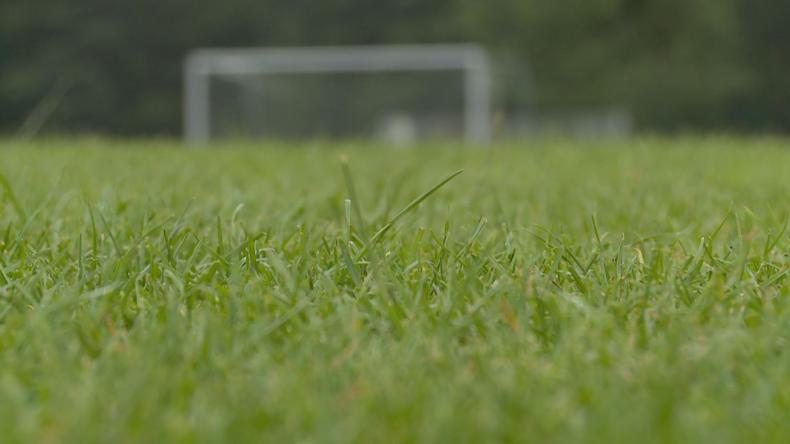 Luzino piłką nożną stoi