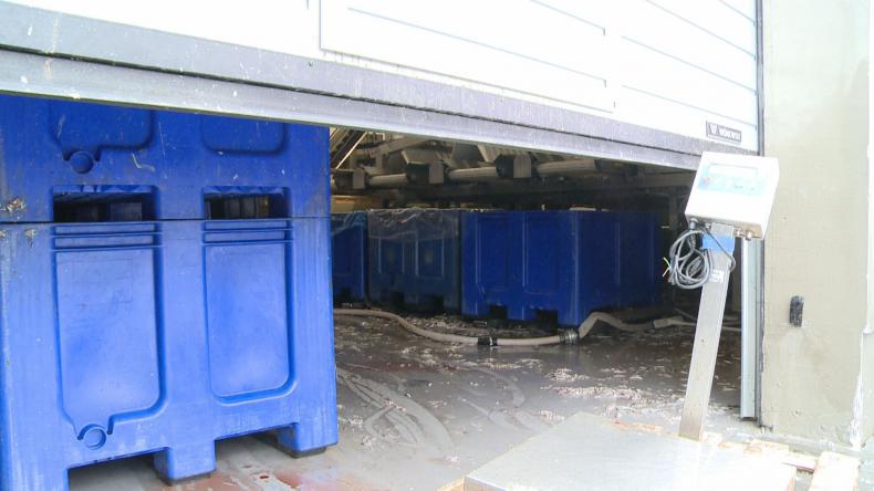 Zamknięto giełdę ryb w Helu