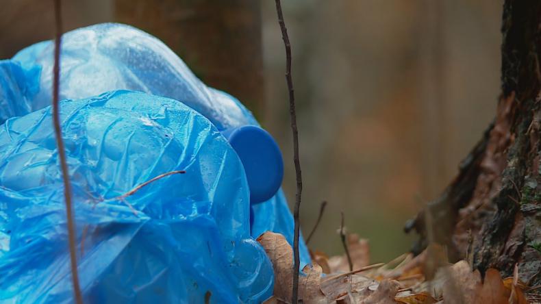 Forest Challenge oczyszcza lasy