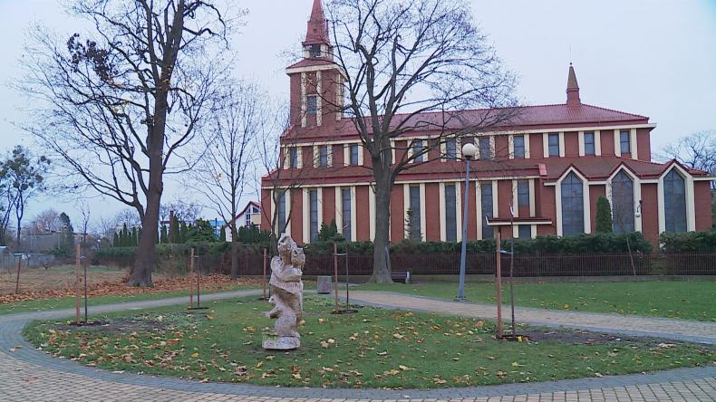 Drzewka w miejskim parku z miłości do rodziny