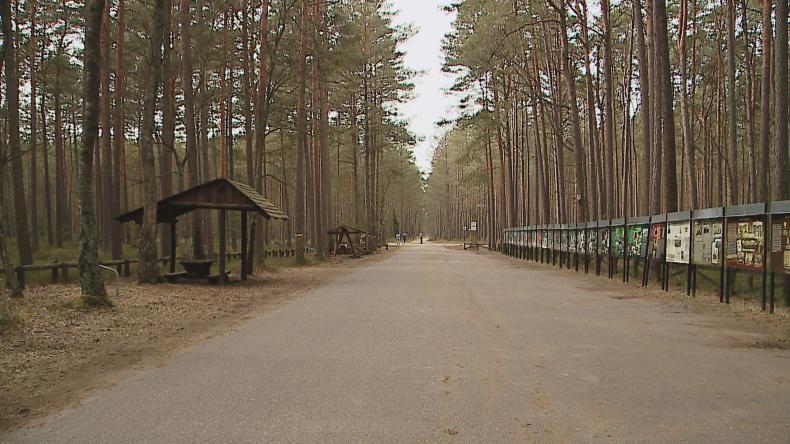 Przed nami Dni Piaśnickie