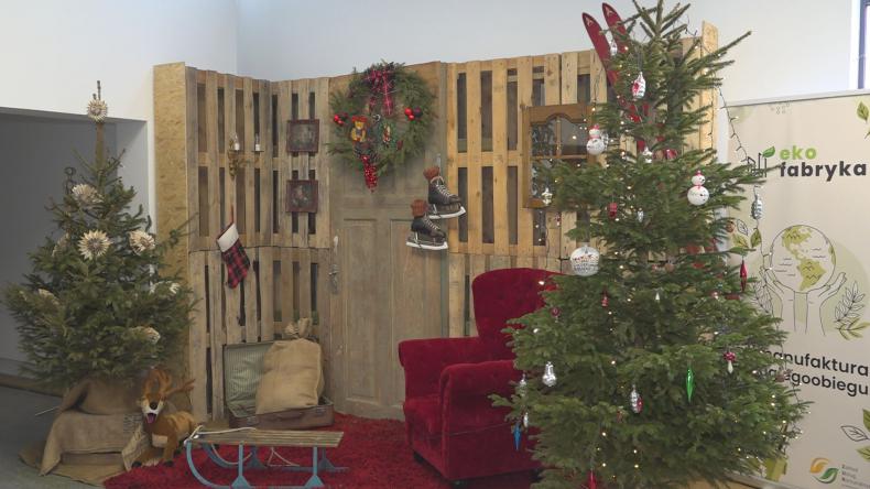 Pozbądź się choinki w odpowiedni sposób