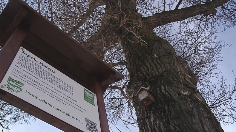 Helena błyszczy na międzynarodowej arenie