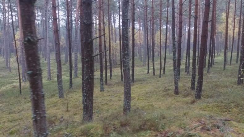 Lokalna Organizacja podsumowała sezon i planuje przyszły rok