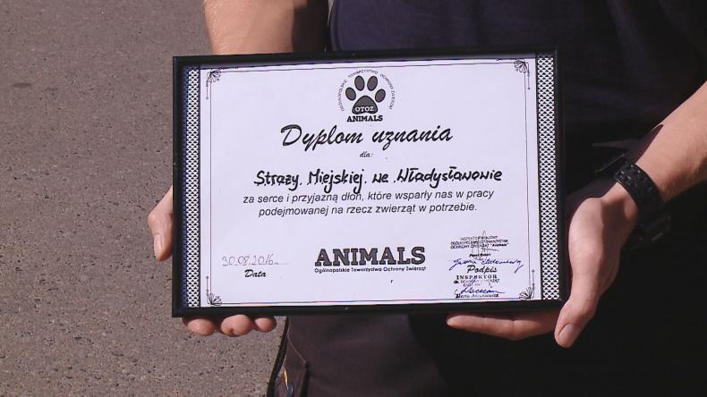 Strażnicy z Władysławowa z dyplomem od OTOZ Animals