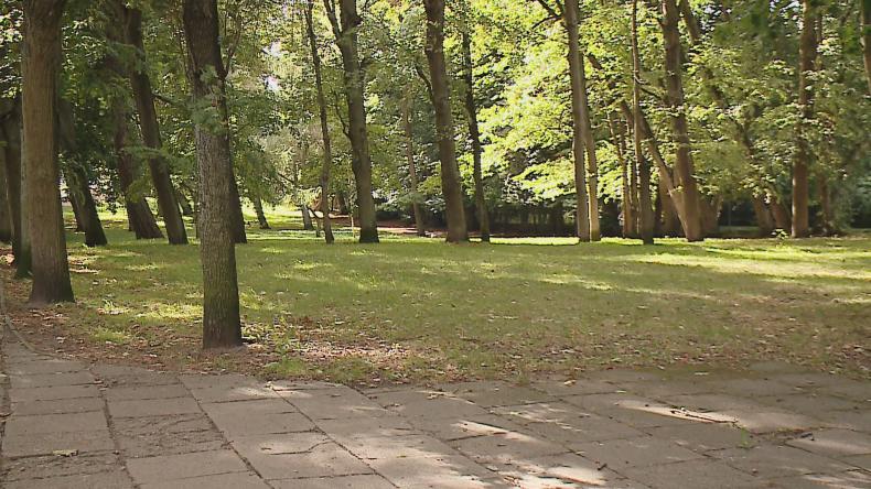 Ruszają prace w Parku Kaszubskim