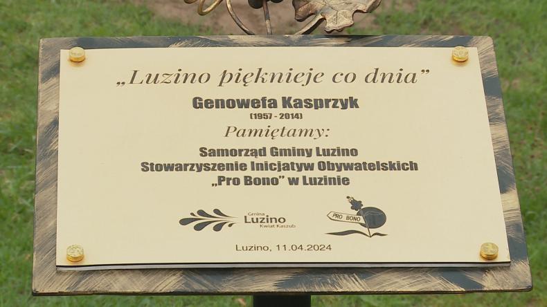 Drzewko pamięci poświęcone Genowefie Kasprzyk