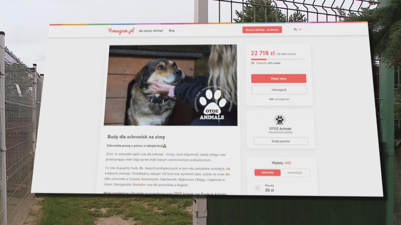Schroniska zbierają środki na zakup bud