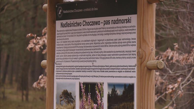 Nadleśnictwo chroni przed presją turystyczną