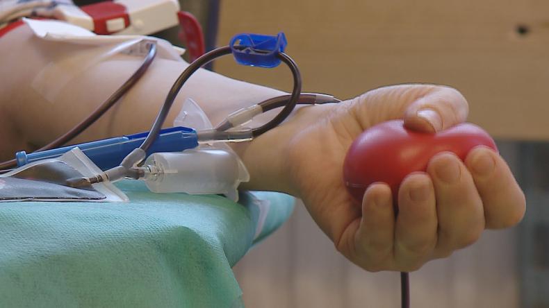 Rekordowy pobór krwi i niemal 300 dawców szpiku