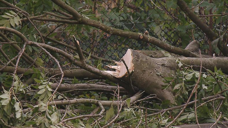 Skutki wichury w regionie-strażacy wyjeżdżali kilkadziesiąt razy