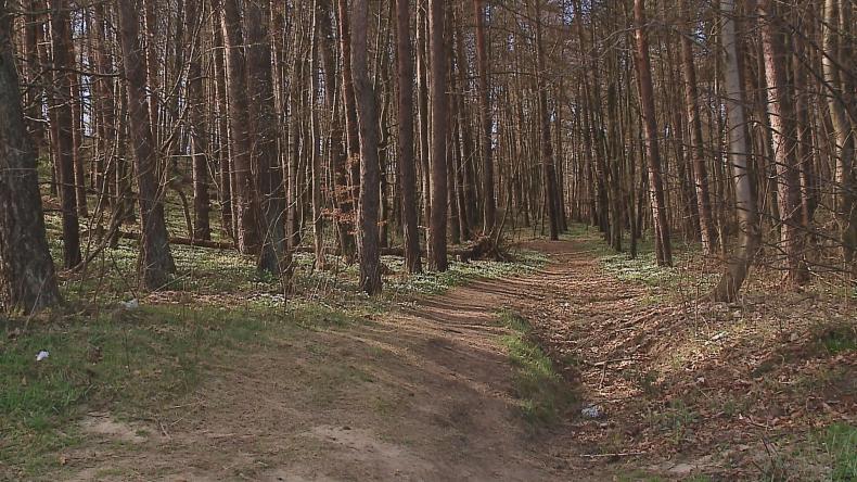 Światowy Dzień Ziemi