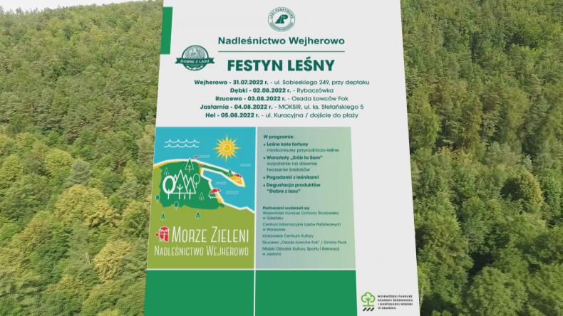 „Morze zieleni”, czyli festyny z wejherowskimi leśnikami