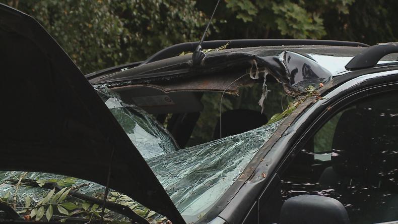 Ciężarówka zahaczyła o drzewo - konar spadł na osobówkę