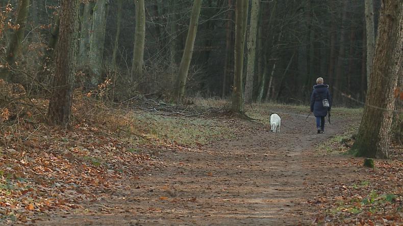 Spacery dozwolone, ale z zachowaniem ostrożności