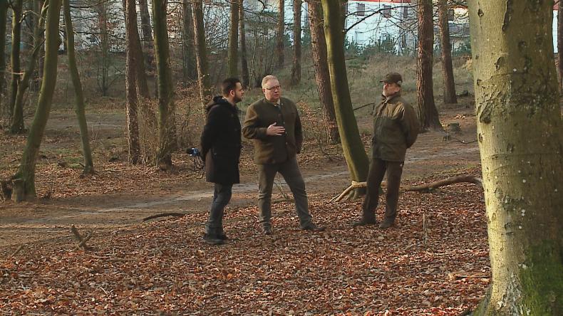 Leśnicy przerzedzą las między Redą a Wejherowem