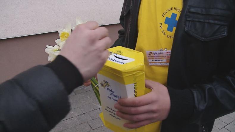 Pola Nadziei znów zakwitły